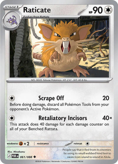 Raticate #61 Perfect Order