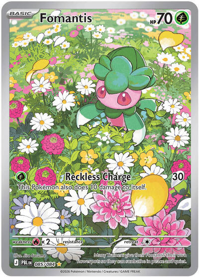 Fomantis Pitch Black