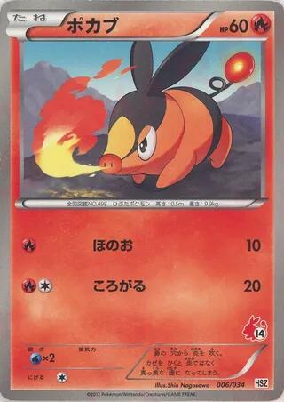 Tepig #6