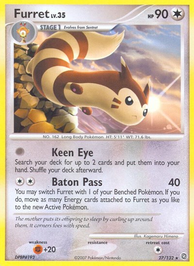 Furret #27 Secret Wonders