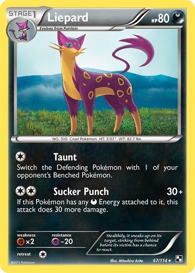 Liepard Black and White #67