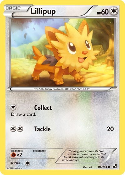 Lillipup Black and White #81