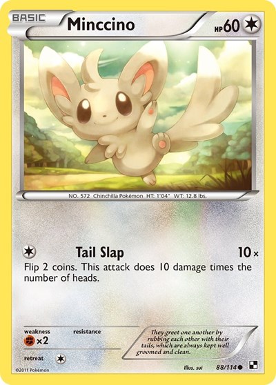 Minccino Black and White #88