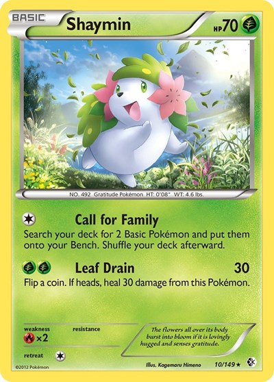 Shaymin #10 Boundaries Crossed