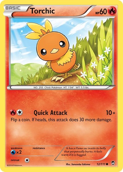 Torchic #12 XY - Furious Fists