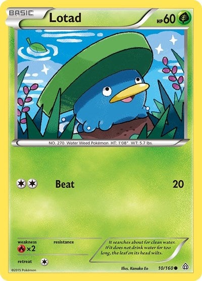 Lotad #10