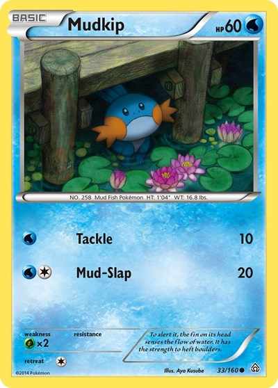 Mudkip #33 XY - Primal Clash