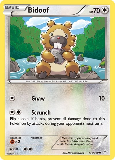Bidoof #116 XY - Primal Clash
