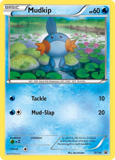 Mudkip #XY38 XY Promos