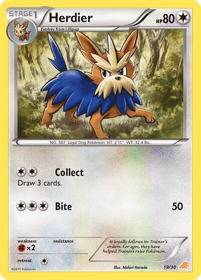 Herdier #19 BW Trainer Kit: Excadrill & Zoroark