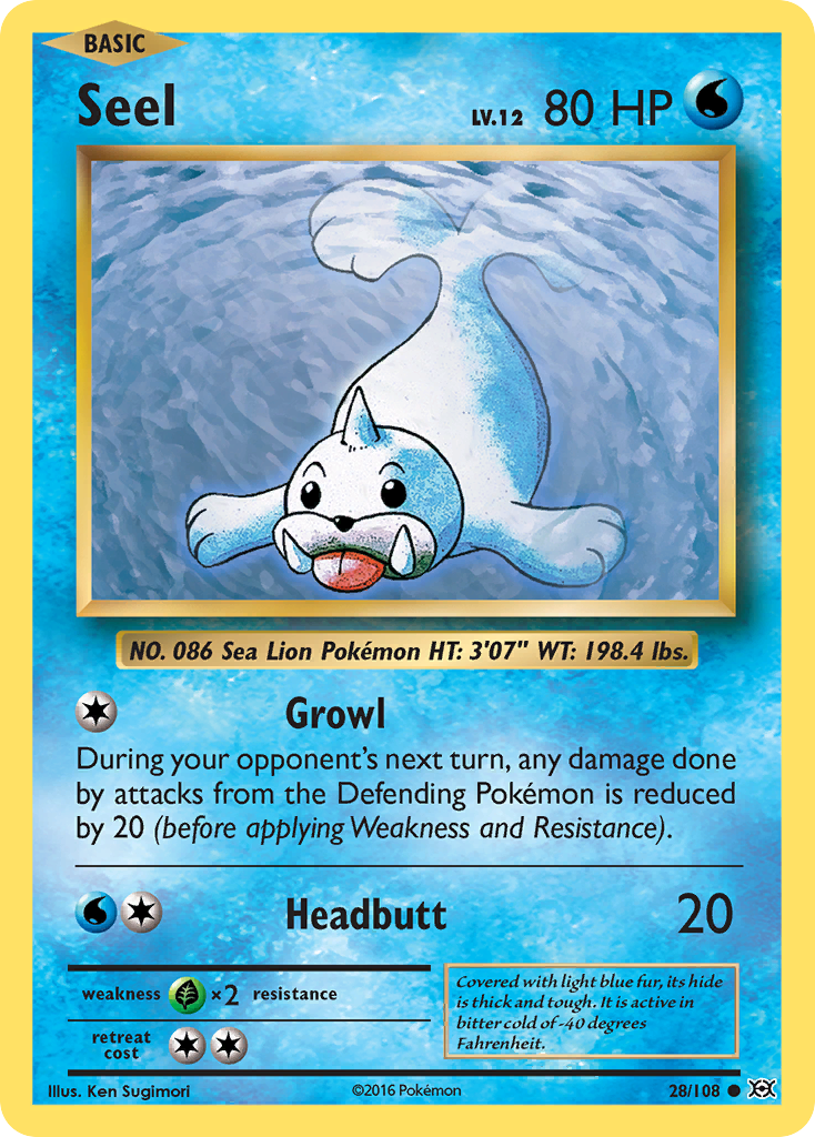 Seel #28 Evolutions