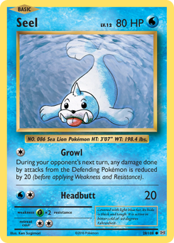 Seel #28 Evolutions