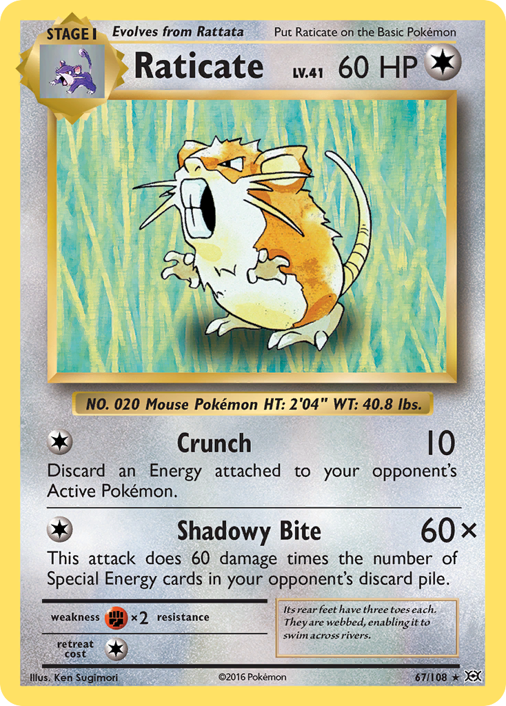 Raticate #67 Evolutions