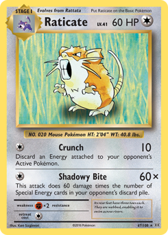 Raticate #67 Evolutions