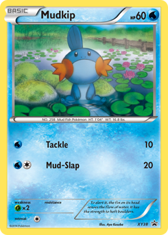Mudkip #XY38 XY Black Star Promos