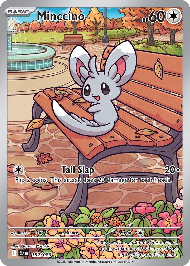 Minccino #152 Black Bolt