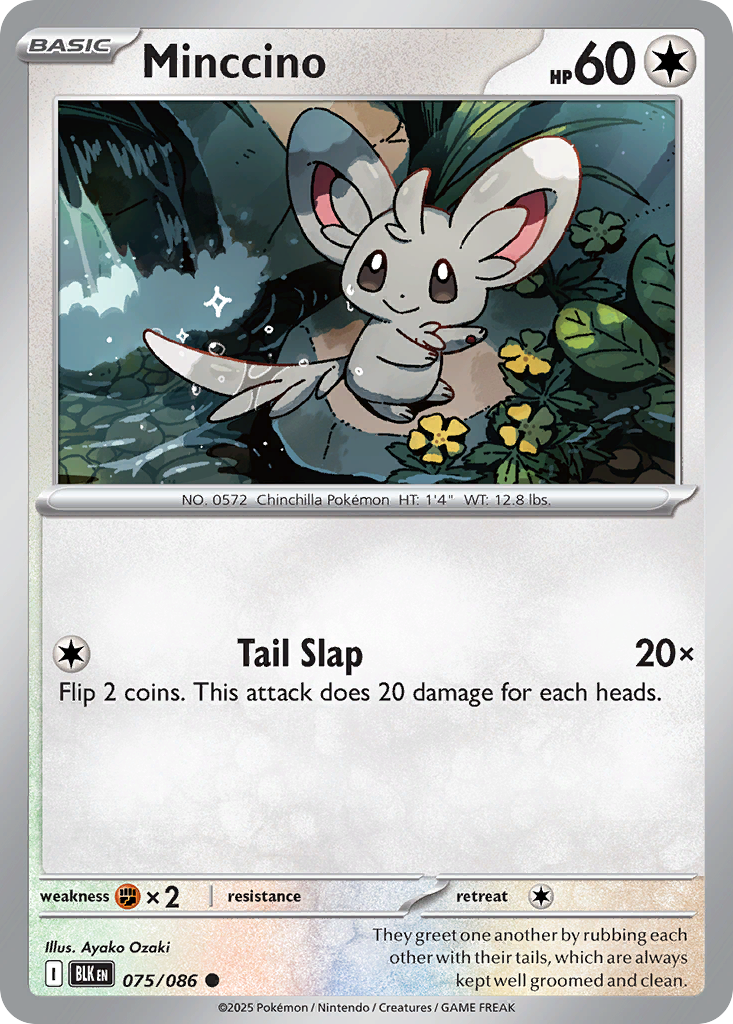 Minccino #75 Black Bolt