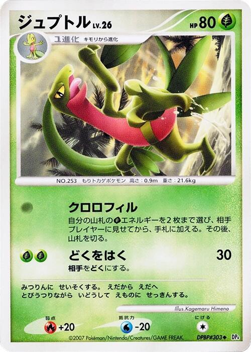 Grovyle sealed Pokémon TCG product